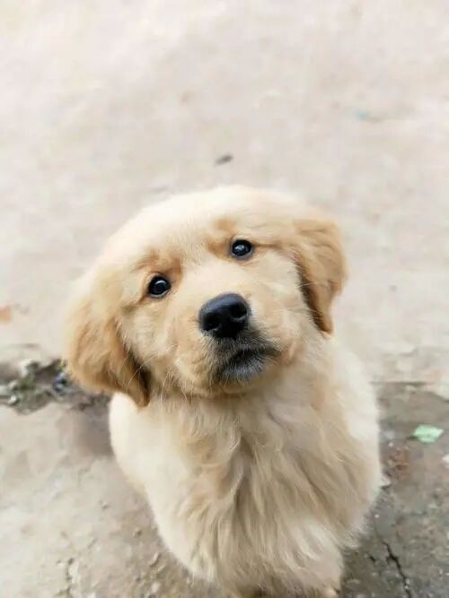 痛苦不可怕，可怕的是没有快乐来对冲