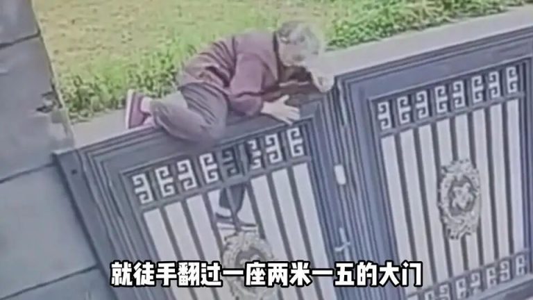 如何才能逃离养老院？